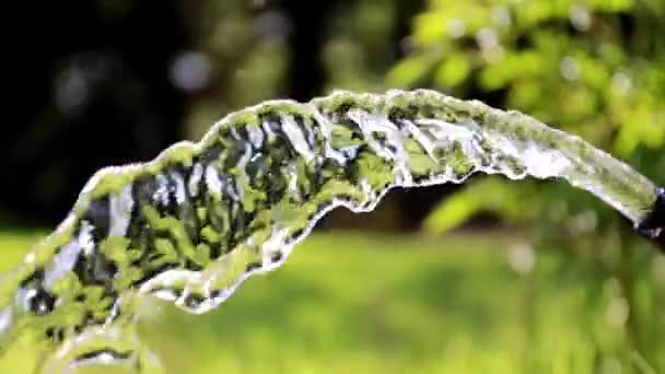 浇草时清洁的自来水流动 — 图库视频影像