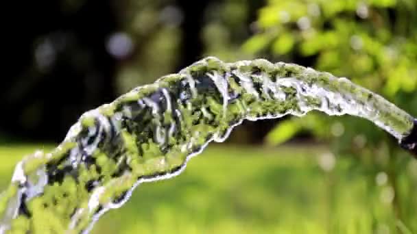 浇草时清洁的自来水流动 — 图库视频影像