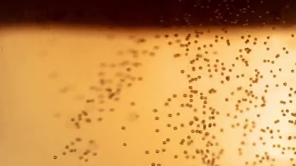 淡啤酒中的气泡在玻璃杯中上升 — 图库视频影像