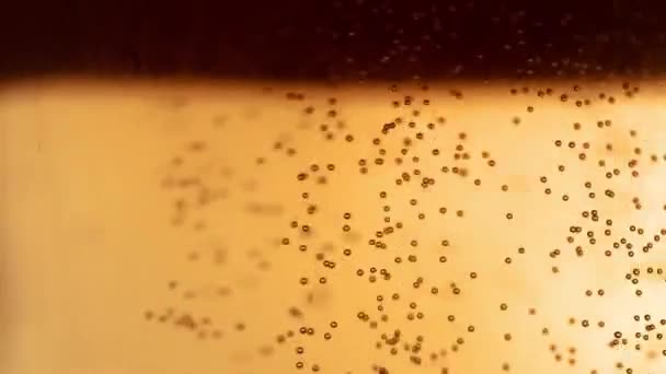 Burbujas Aire Una Cerveza Ligera Suben Vaso — Vídeos de Stock