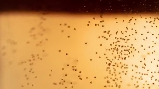 淡啤酒中的气泡在玻璃杯中上升 — 图库视频影像