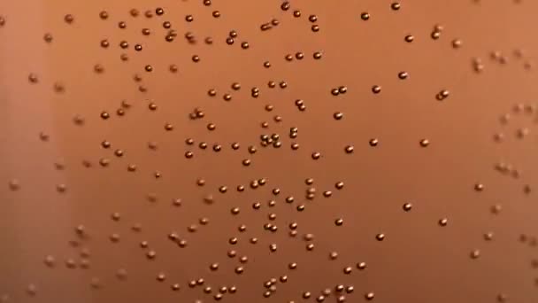 Vzduchové Bubliny Světle Piva Skleněném — Stock video
