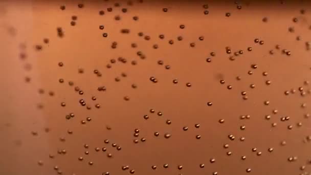 Пузырьки Воздуха Светлом Пиве Поднимаются Стакане — стоковое видео