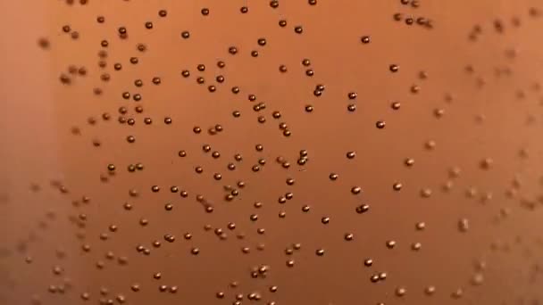 Пузырьки Воздуха Светлом Пиве Поднимаются Стакане — стоковое видео