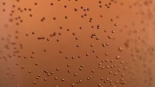 Bulles Air Dans Une Légère Hausse Bière Dans Verre — Video