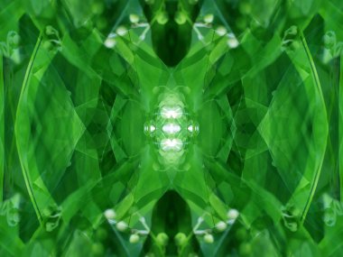 bitkilerin aynasında bir fotoğraf ile oluşturulan soyut görüntü