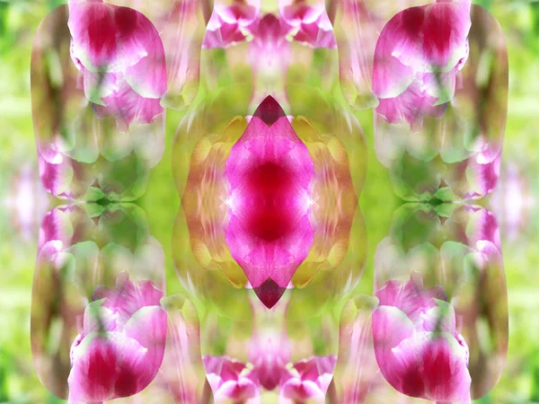 Imagem Abstrata Criada Com Uma Fotografia Espelho Das Plantas — Fotografia de Stock