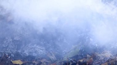 duman ve bir orman yangını alevleri