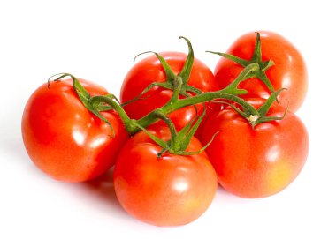 gıda unsuru olarak yeşil dalı üzerinde olgun domates