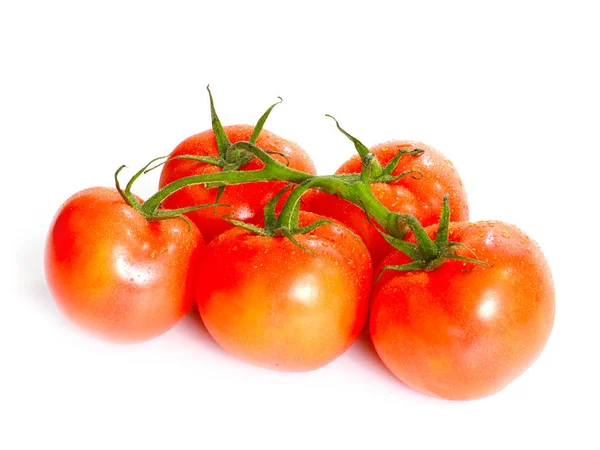 Ripe Tomatoes Green Branch Food Element — Stock Photo, Image