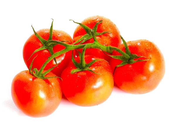 Tomates Maduros Ramo Verde Como Elemento Alimentar — Fotografia de Stock