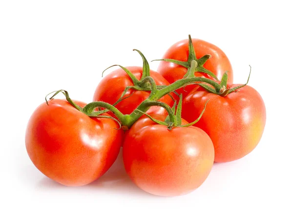 Tomates Maduros Ramo Verde Como Elemento Alimentar — Fotografia de Stock