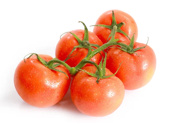 Ripe Tomatoes Green Branch Food Element — Stock Photo, Image