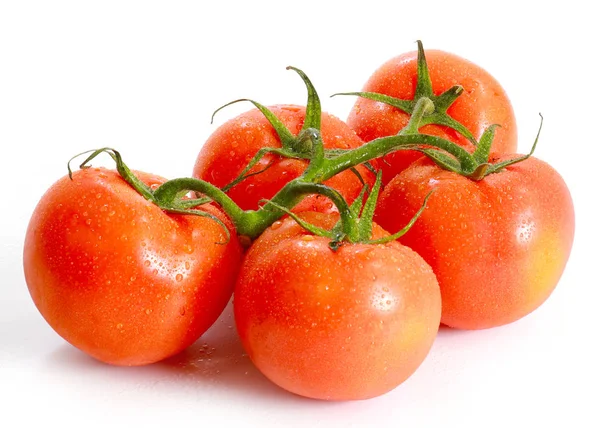 Ripe Tomatoes Green Branch Food Element — Stock Photo, Image