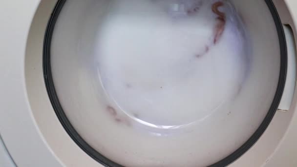 세탁기의 드럼에 깨끗한 신선한 — 비디오