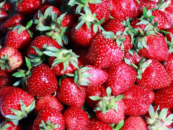 Hermosa Fresa Dulce Madura Como Una Cosecha Verano — Foto de Stock