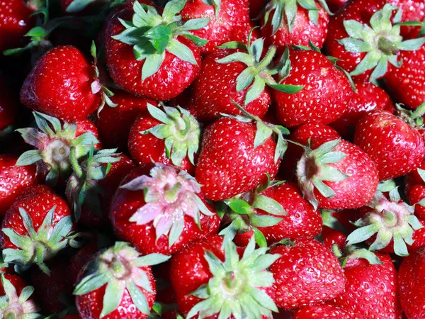 Hermosa Fresa Dulce Madura Como Una Cosecha Verano — Foto de Stock