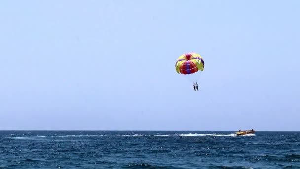 観光客の海の上の飛行のための多色のパラシュート — ストック動画