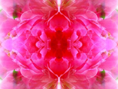 aynalar aracılığıyla yaban hayatı simetrik soyut görüntü