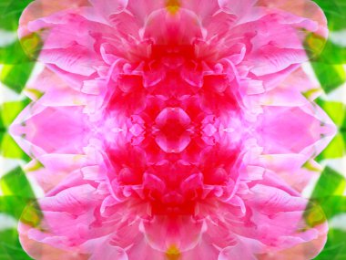 aynalar aracılığıyla yaban hayatı simetrik soyut görüntü