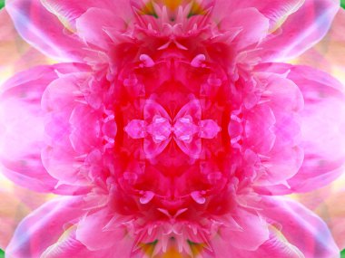 aynalar aracılığıyla yaban hayatı simetrik soyut görüntü