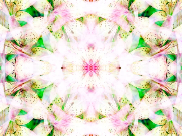 Symmetrisk Abstrakt Bild Vilda Djur Genom Speglar — Stockfoto