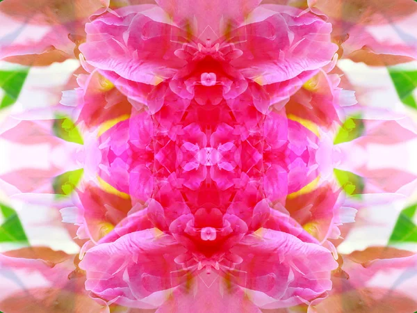 Symmetrisk Abstrakt Bild Vilda Djur Genom Speglar — Stockfoto