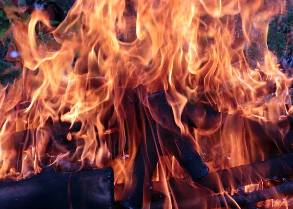 Вогонь Яскраве Полум Шматки Деревного Вугілля — стокове фото