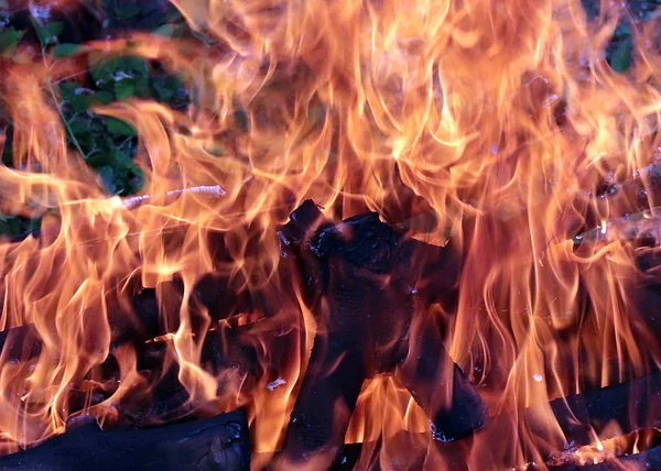 火と明るい炎と木炭の破片 — ストック写真