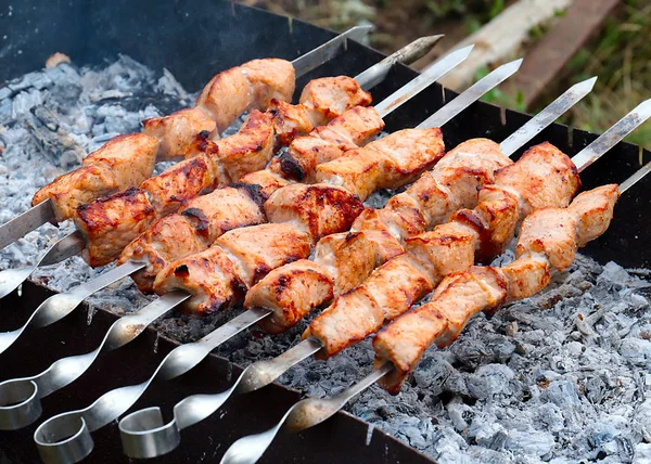 Fragantes Trozos Carne Brochetas Hornear Parrilla —  Fotos de Stock