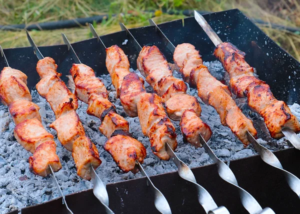 Illatos Húsdarabok Nyárson Amikor Sütnek Grill — Stock Fotó