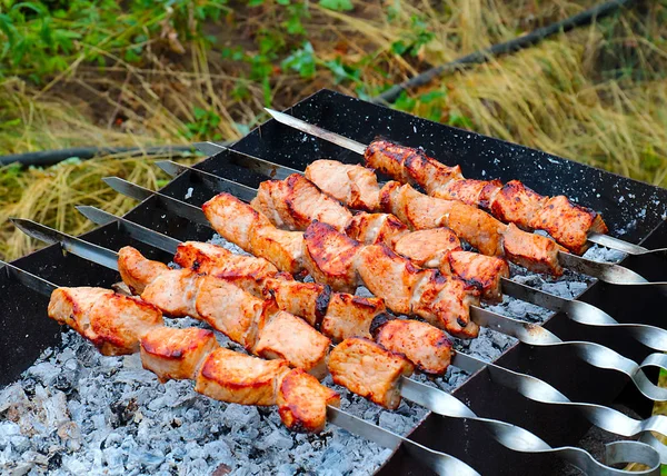 Illatos Húsdarabok Nyárson Amikor Sütnek Grill — Stock Fotó