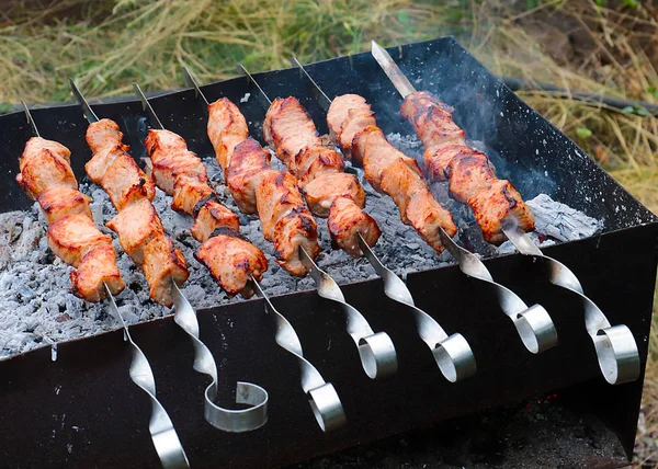 Geurige Stukjes Vlees Spiesjes Bij Het Bakken Grill — Stockfoto