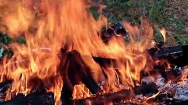 alev ve açık yangın kömür üzerinde