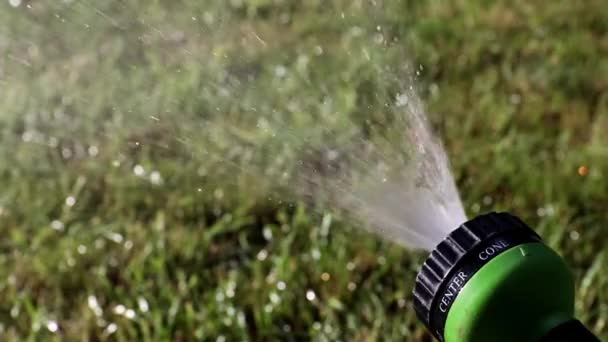 Schöner Garten Lila Blütenlilie Als Dekoration Des Parks — Stockvideo