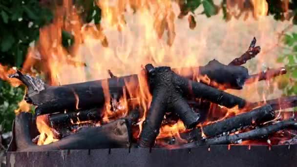 Пламя Огонь Над Углем — стоковое видео