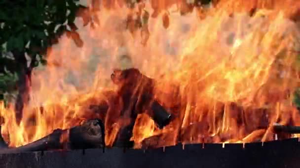 Llamas Fuego Abierto Sobre Carbón Vegetal — Vídeo de stock