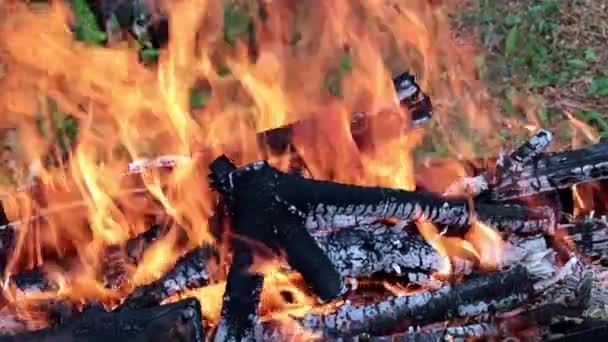 flammes et feu ouvert sur charbon de bois 