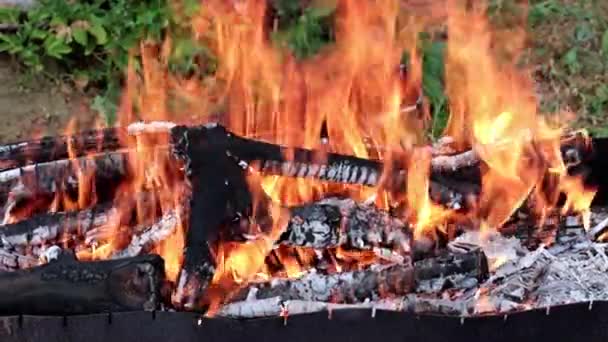 Flammor Och Öppen Eld Över Träkol — Stockvideo