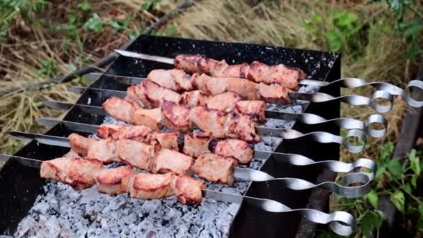 在烤架上烹饪美味的烤肉 — 图库视频影像