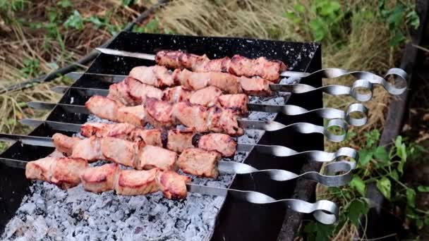 Gotowanie Pyszne Grillowane Mięso Szaszłek Grillu — Wideo stockowe