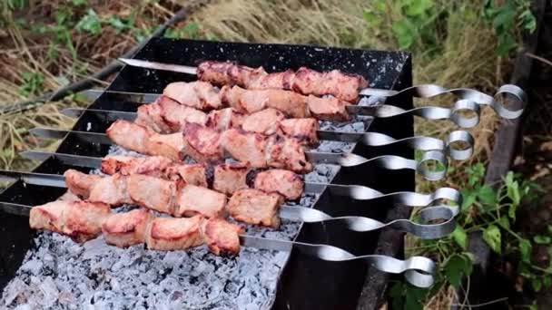 在烤架上烹饪美味的烤肉 — 图库视频影像