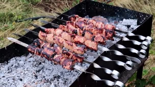 Cozinhar Deliciosa Carne Grelhada Espetos Grelha — Vídeo de Stock