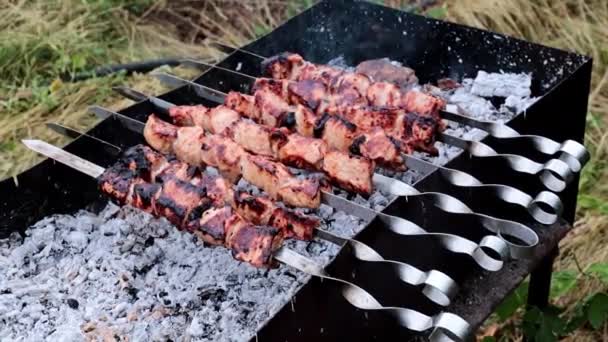 Gotowanie Pyszne Grillowane Mięso Szaszłek Grillu — Wideo stockowe