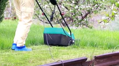 bir elektrikli çim biçme makinesi ile yeşil çim biçme