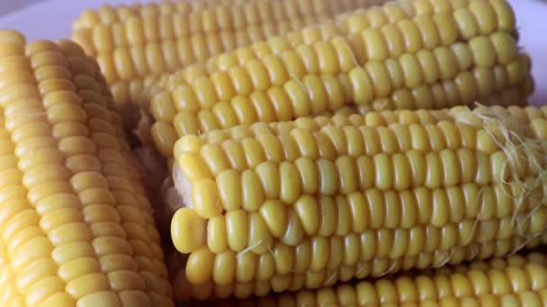 Стигла Свіжа Варена Кукурудза Тарілці Їжі — стокове відео