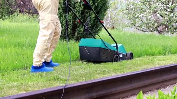 Mowing Green Grass Electric Lawn Mower — Stock Video