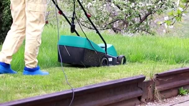 Cortando Grama Verde Com Cortador Grama Elétrico — Vídeo de Stock