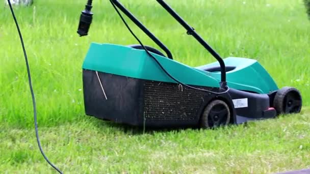 Cortando Grama Verde Com Cortador Grama Elétrico — Vídeo de Stock