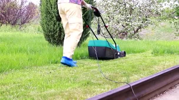 Grünes Gras Mit Einem Elektrischen Rasenmäher Mähen — Stockvideo